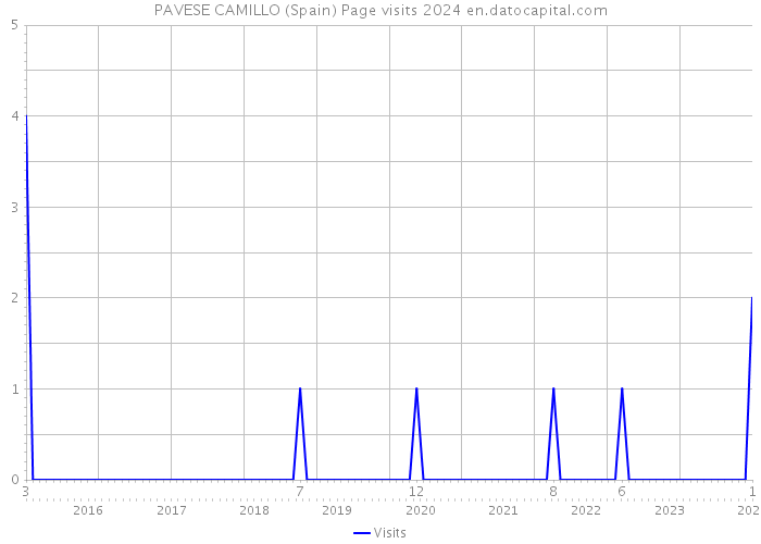 PAVESE CAMILLO (Spain) Page visits 2024 