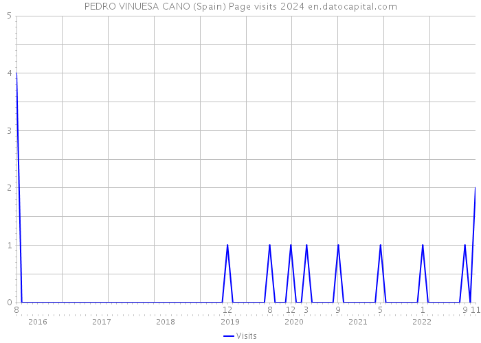 PEDRO VINUESA CANO (Spain) Page visits 2024 