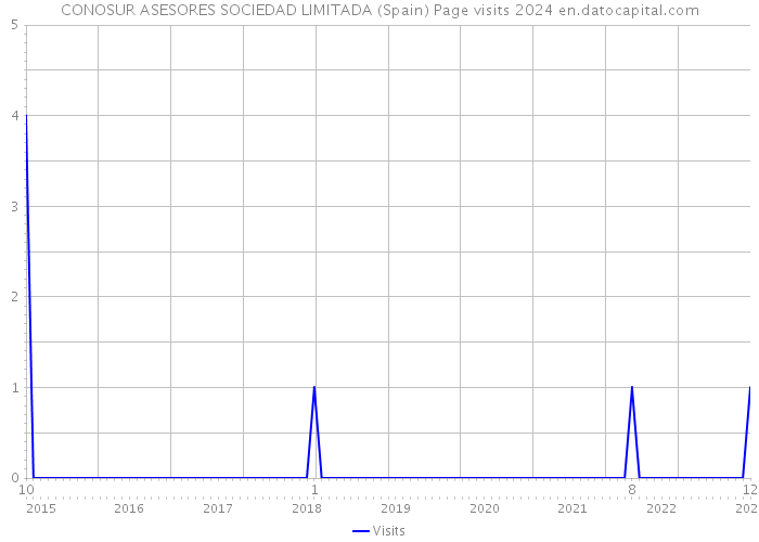 CONOSUR ASESORES SOCIEDAD LIMITADA (Spain) Page visits 2024 