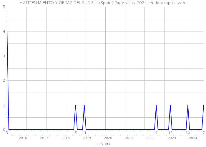 MANTENIMIENTO Y OBRAS DEL SUR S.L. (Spain) Page visits 2024 