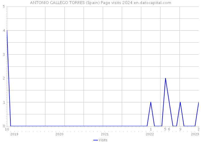 ANTONIO GALLEGO TORRES (Spain) Page visits 2024 
