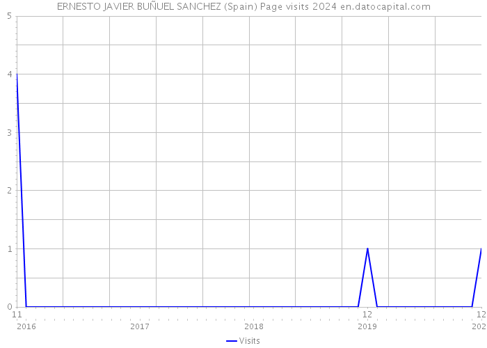 ERNESTO JAVIER BUÑUEL SANCHEZ (Spain) Page visits 2024 