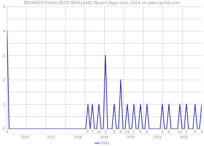 EDUARDO PASALODOS SEVILLANO (Spain) Page visits 2024 