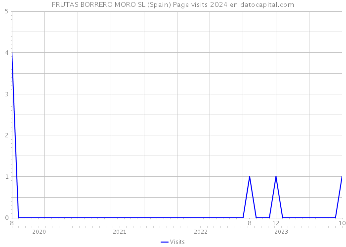 FRUTAS BORRERO MORO SL (Spain) Page visits 2024 