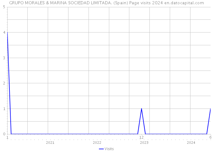 GRUPO MORALES & MARINA SOCIEDAD LIMITADA. (Spain) Page visits 2024 