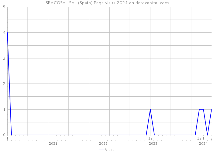BRACOSAL SAL (Spain) Page visits 2024 
