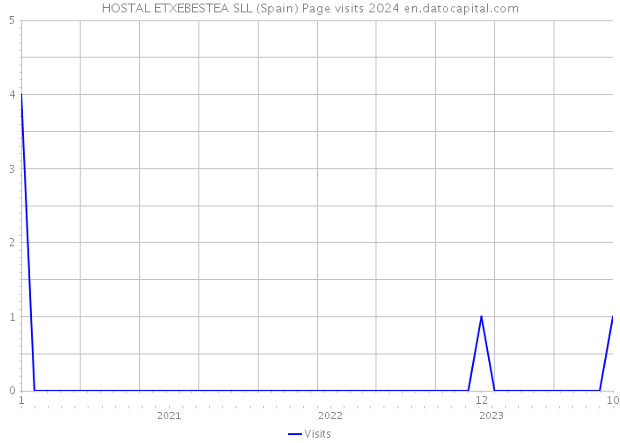 HOSTAL ETXEBESTEA SLL (Spain) Page visits 2024 