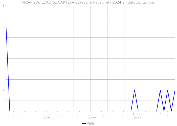 VICAP SOCIEDAD DE CARTERA SL (Spain) Page visits 2024 