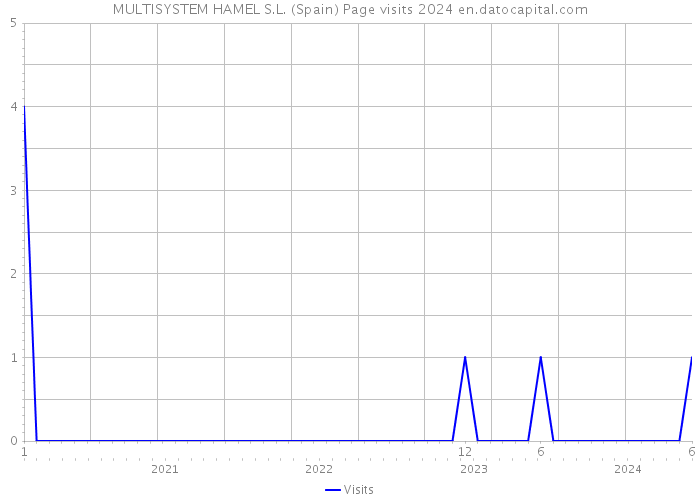 MULTISYSTEM HAMEL S.L. (Spain) Page visits 2024 