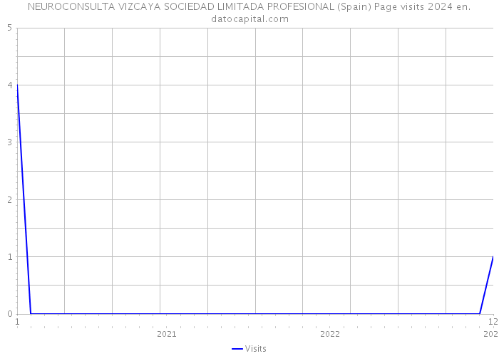 NEUROCONSULTA VIZCAYA SOCIEDAD LIMITADA PROFESIONAL (Spain) Page visits 2024 