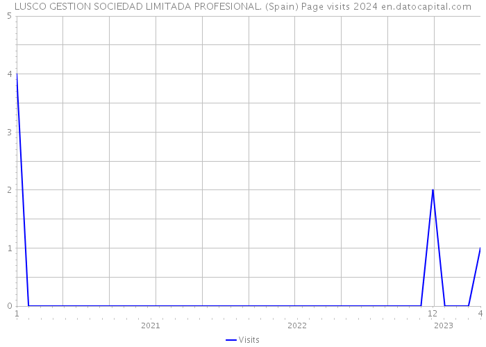LUSCO GESTION SOCIEDAD LIMITADA PROFESIONAL. (Spain) Page visits 2024 