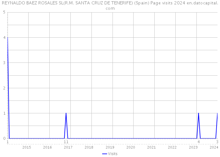 REYNALDO BAEZ ROSALES SL(R.M. SANTA CRUZ DE TENERIFE) (Spain) Page visits 2024 