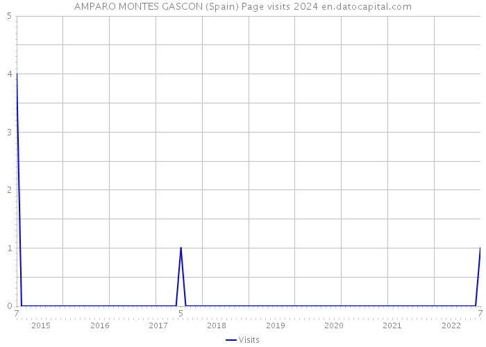 AMPARO MONTES GASCON (Spain) Page visits 2024 