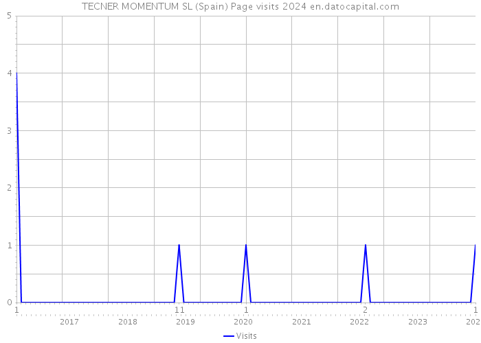 TECNER MOMENTUM SL (Spain) Page visits 2024 