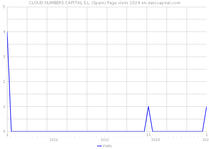 CLOUD NUMBERS CAPITAL S.L. (Spain) Page visits 2024 