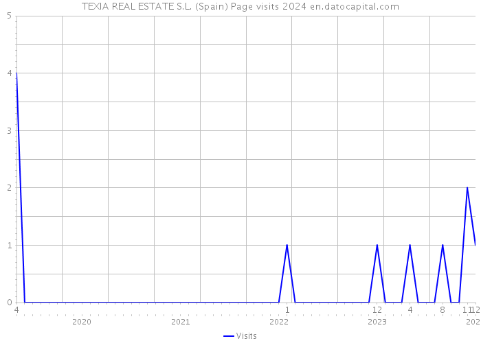 TEXIA REAL ESTATE S.L. (Spain) Page visits 2024 