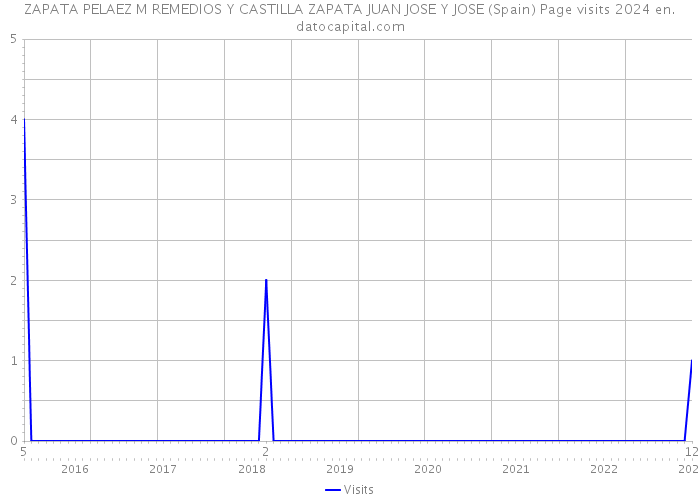 ZAPATA PELAEZ M REMEDIOS Y CASTILLA ZAPATA JUAN JOSE Y JOSE (Spain) Page visits 2024 