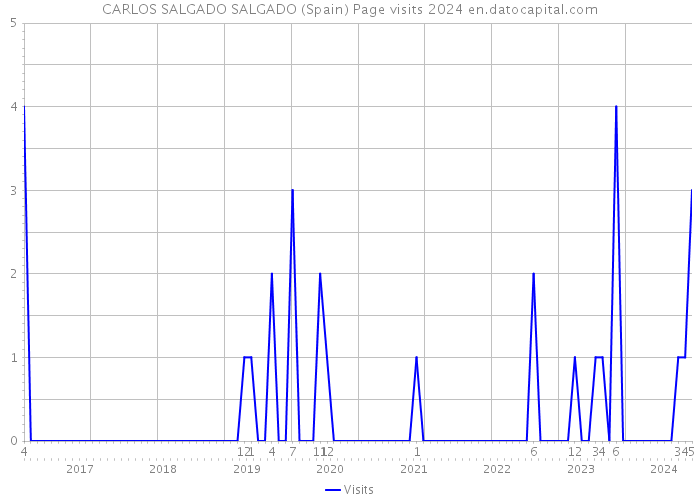 CARLOS SALGADO SALGADO (Spain) Page visits 2024 