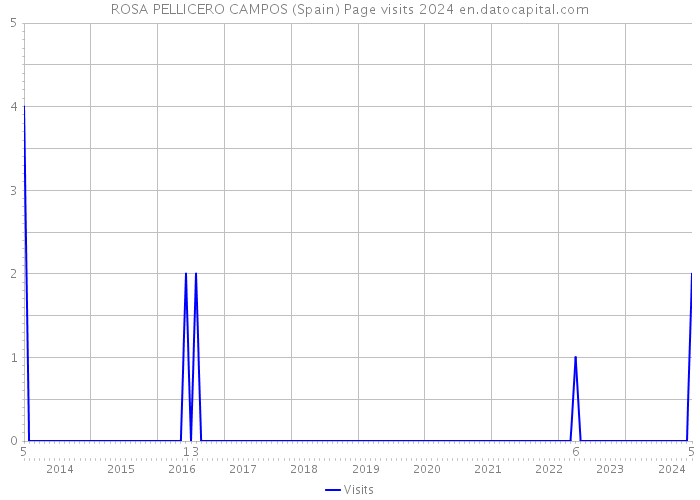 ROSA PELLICERO CAMPOS (Spain) Page visits 2024 