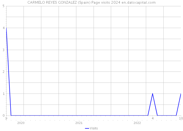 CARMELO REYES GONZALEZ (Spain) Page visits 2024 