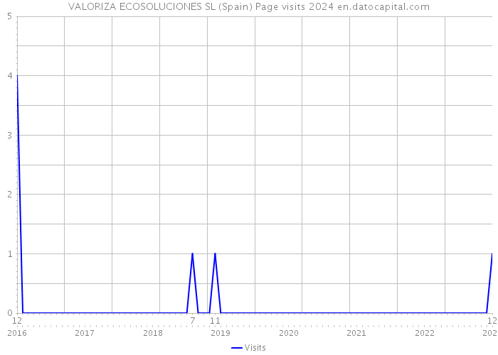 VALORIZA ECOSOLUCIONES SL (Spain) Page visits 2024 