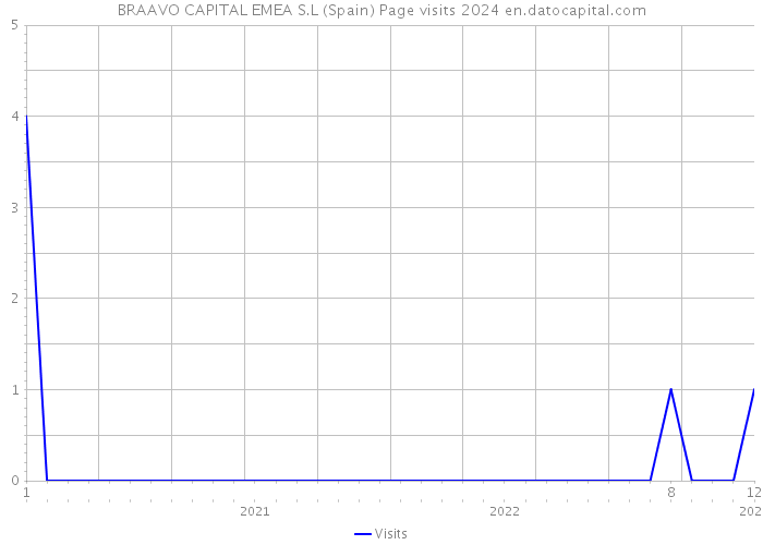 BRAAVO CAPITAL EMEA S.L (Spain) Page visits 2024 