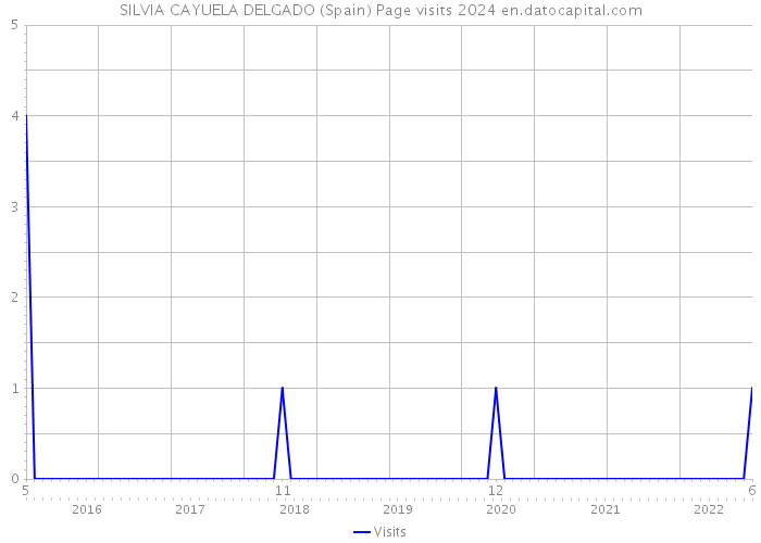 SILVIA CAYUELA DELGADO (Spain) Page visits 2024 