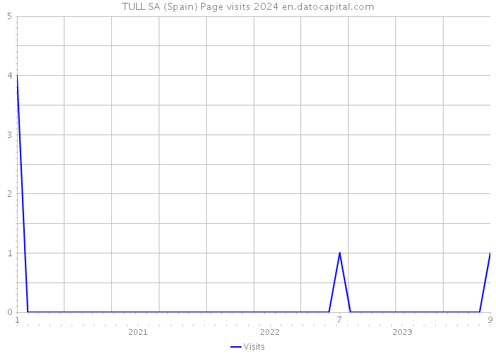 TULL SA (Spain) Page visits 2024 