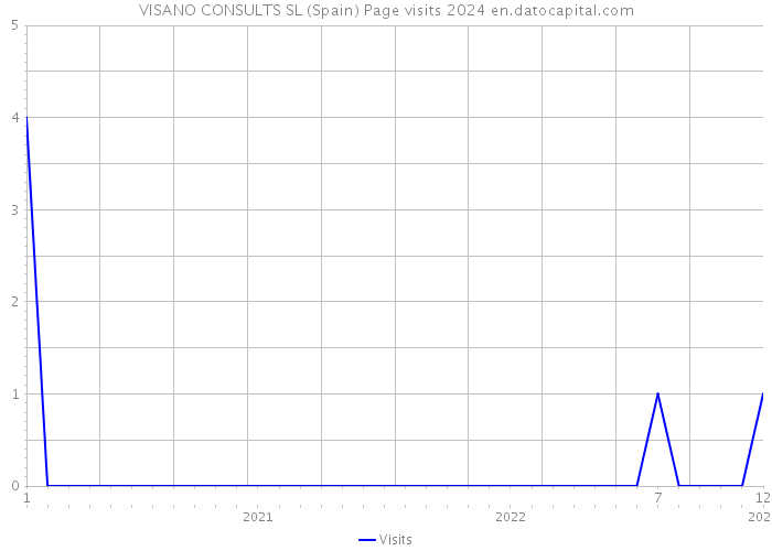 VISANO CONSULTS SL (Spain) Page visits 2024 