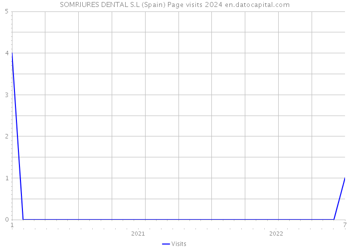 SOMRIURES DENTAL S.L (Spain) Page visits 2024 