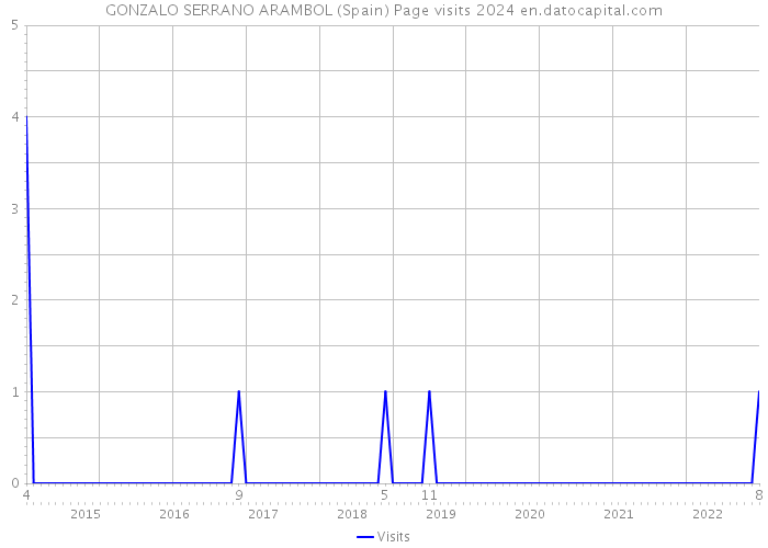 GONZALO SERRANO ARAMBOL (Spain) Page visits 2024 