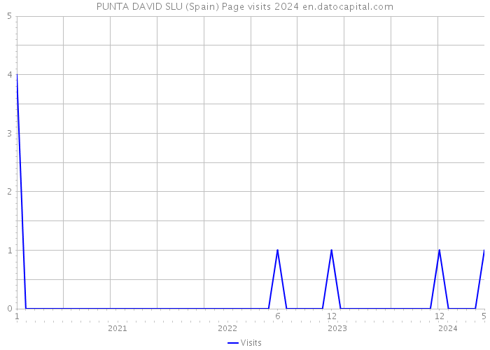 PUNTA DAVID SLU (Spain) Page visits 2024 