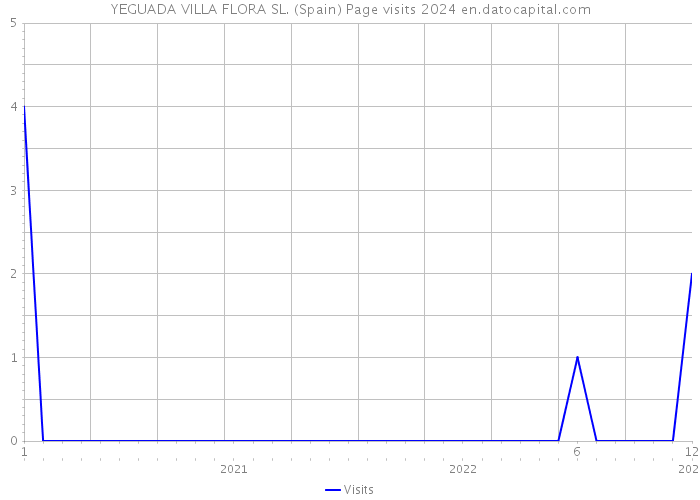 YEGUADA VILLA FLORA SL. (Spain) Page visits 2024 