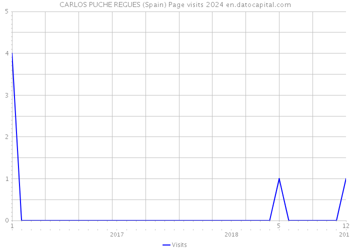 CARLOS PUCHE REGUES (Spain) Page visits 2024 