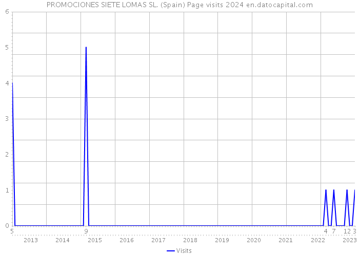 PROMOCIONES SIETE LOMAS SL. (Spain) Page visits 2024 