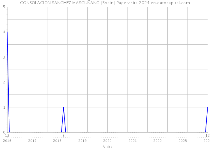 CONSOLACION SANCHEZ MASCUÑANO (Spain) Page visits 2024 