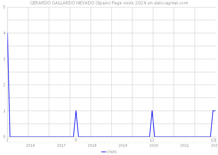 GERARDO GALLARDO NEVADO (Spain) Page visits 2024 