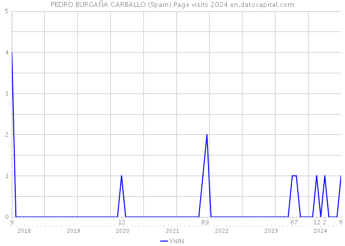 PEDRO BURGAÑA CARBALLO (Spain) Page visits 2024 