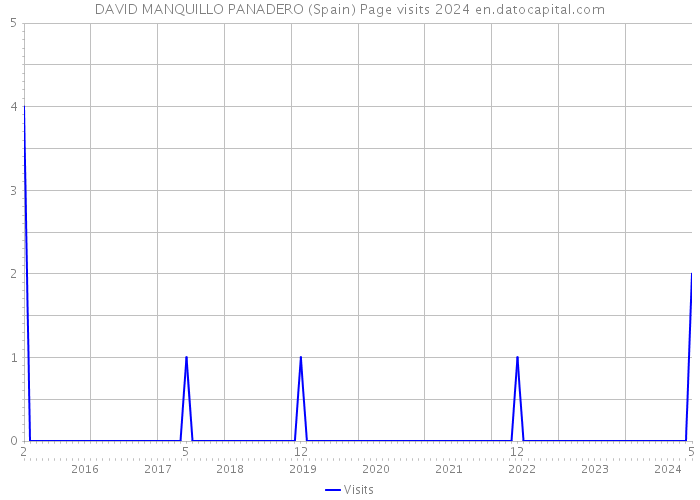 DAVID MANQUILLO PANADERO (Spain) Page visits 2024 