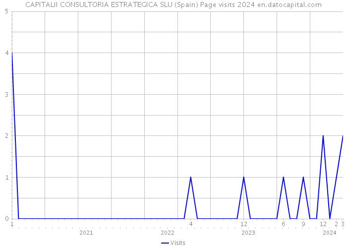 CAPITALII CONSULTORIA ESTRATEGICA SLU (Spain) Page visits 2024 