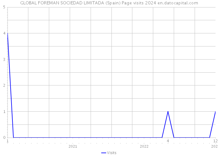 GLOBAL FOREMAN SOCIEDAD LIMITADA (Spain) Page visits 2024 