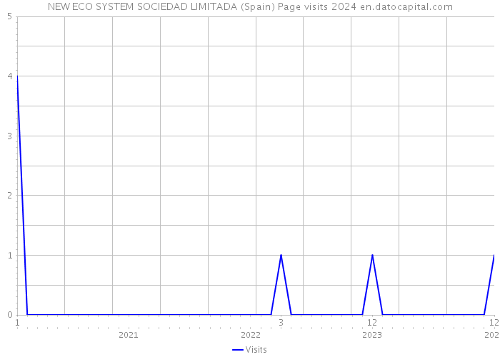 NEW ECO SYSTEM SOCIEDAD LIMITADA (Spain) Page visits 2024 