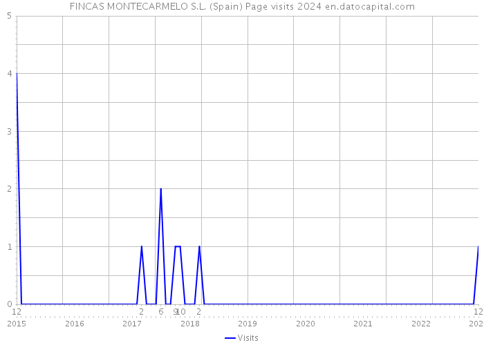 FINCAS MONTECARMELO S.L. (Spain) Page visits 2024 