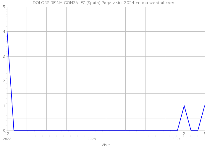 DOLORS REINA GONZALEZ (Spain) Page visits 2024 