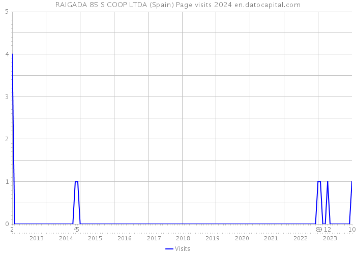 RAIGADA 85 S COOP LTDA (Spain) Page visits 2024 