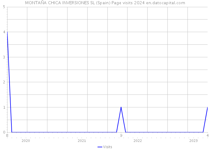 MONTAÑA CHICA INVERSIONES SL (Spain) Page visits 2024 