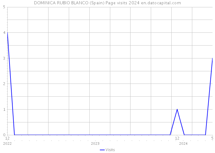 DOMINICA RUBIO BLANCO (Spain) Page visits 2024 