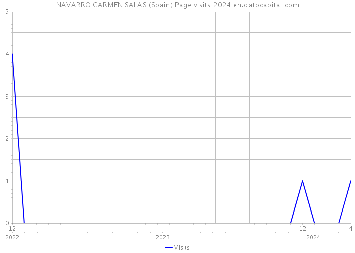 NAVARRO CARMEN SALAS (Spain) Page visits 2024 