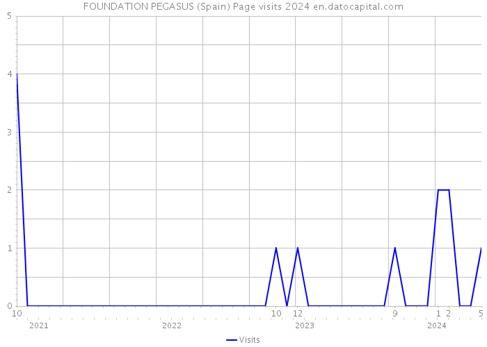 FOUNDATION PEGASUS (Spain) Page visits 2024 