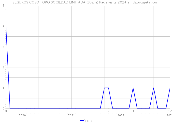 SEGUROS COBO TORO SOCIEDAD LIMITADA (Spain) Page visits 2024 